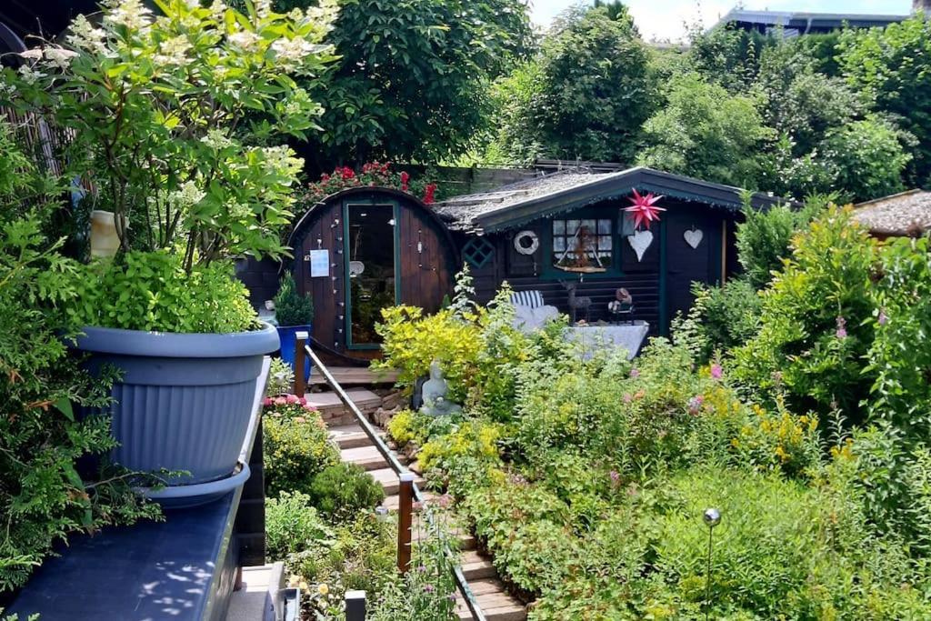 Haus Harzer Bergblick All Inklusiv Bad Lauterberg Exterior foto